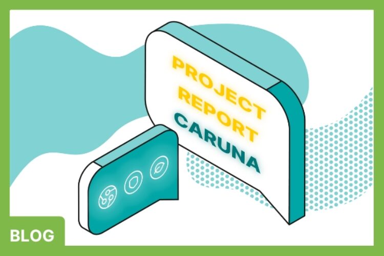 Project report to Caruna future grid studies