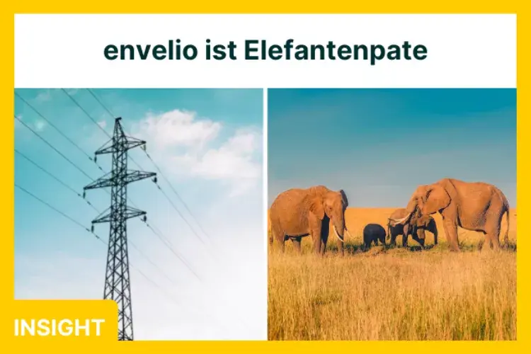  envelio ist jetzt Elefantenpate