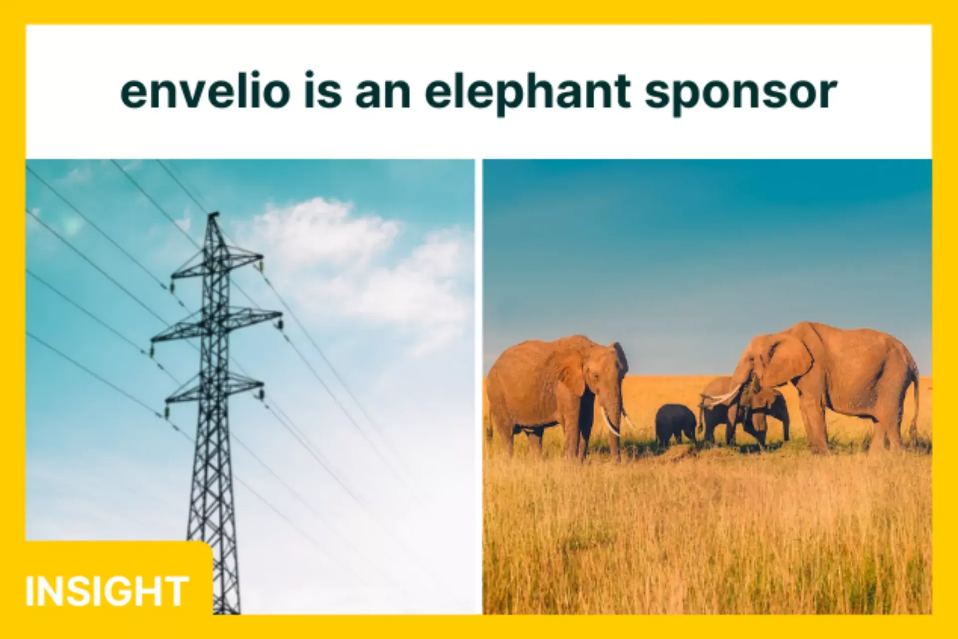  envelio is now an elephant sponsor