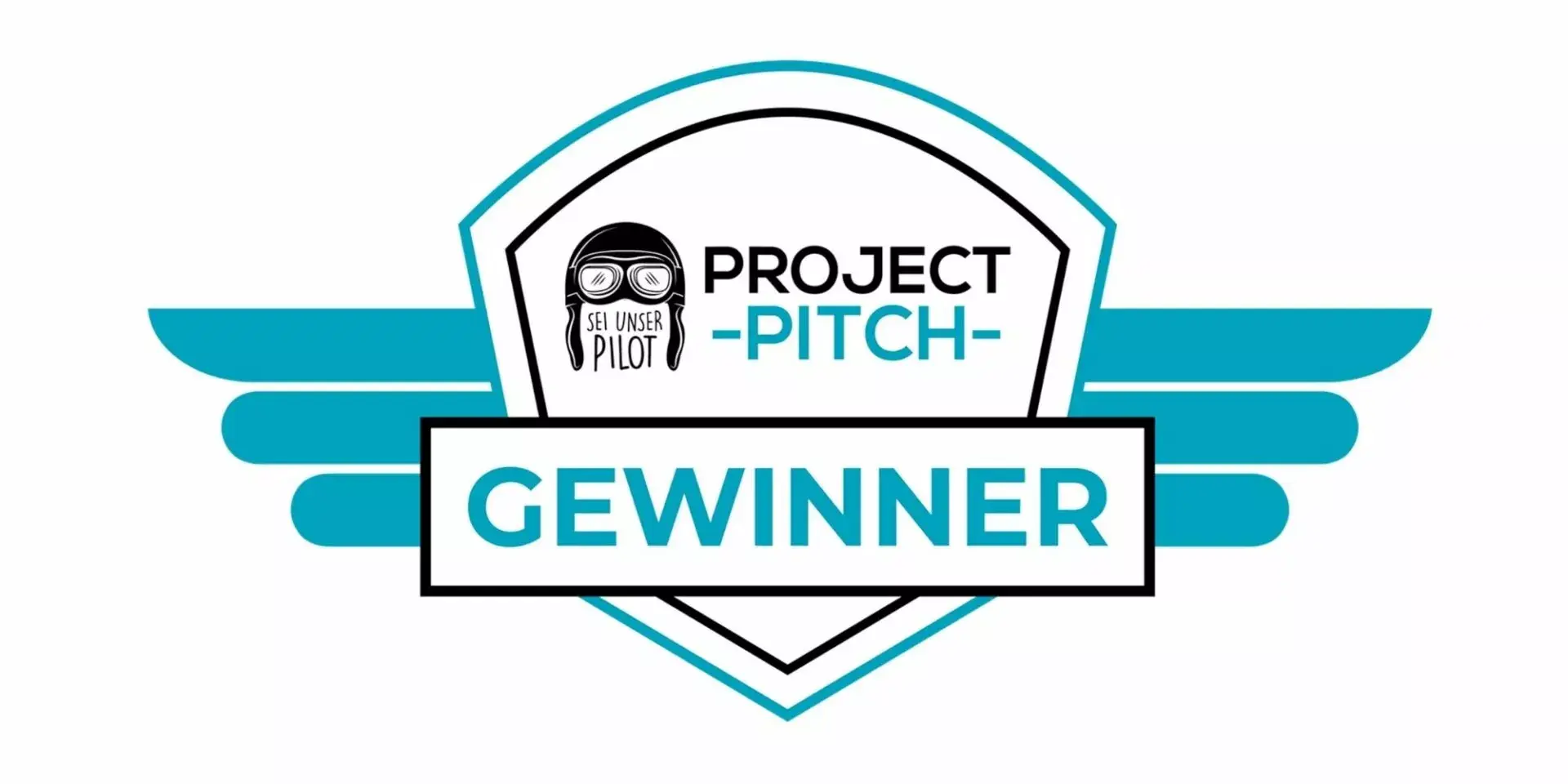 Project Pitch