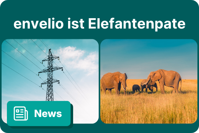 envelio ist jetzt Elefantenpate