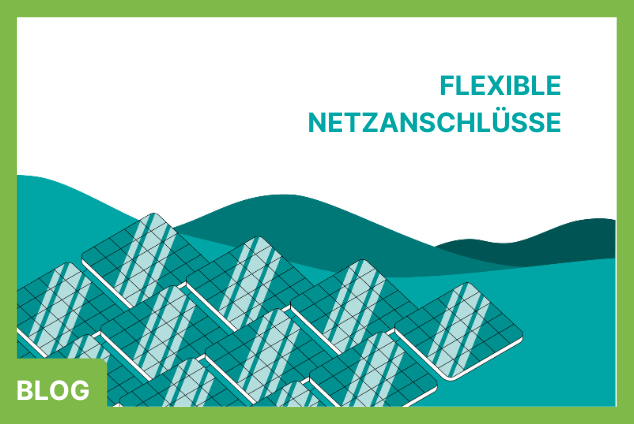  Was sind Flexible Netzanschlüsse – „Flexible Connection Agreement“ (FCA)?