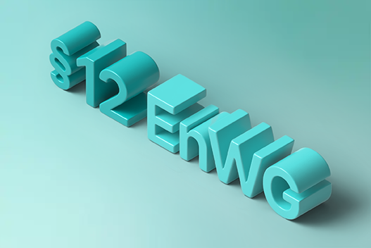 Paragraph 12 EnWG